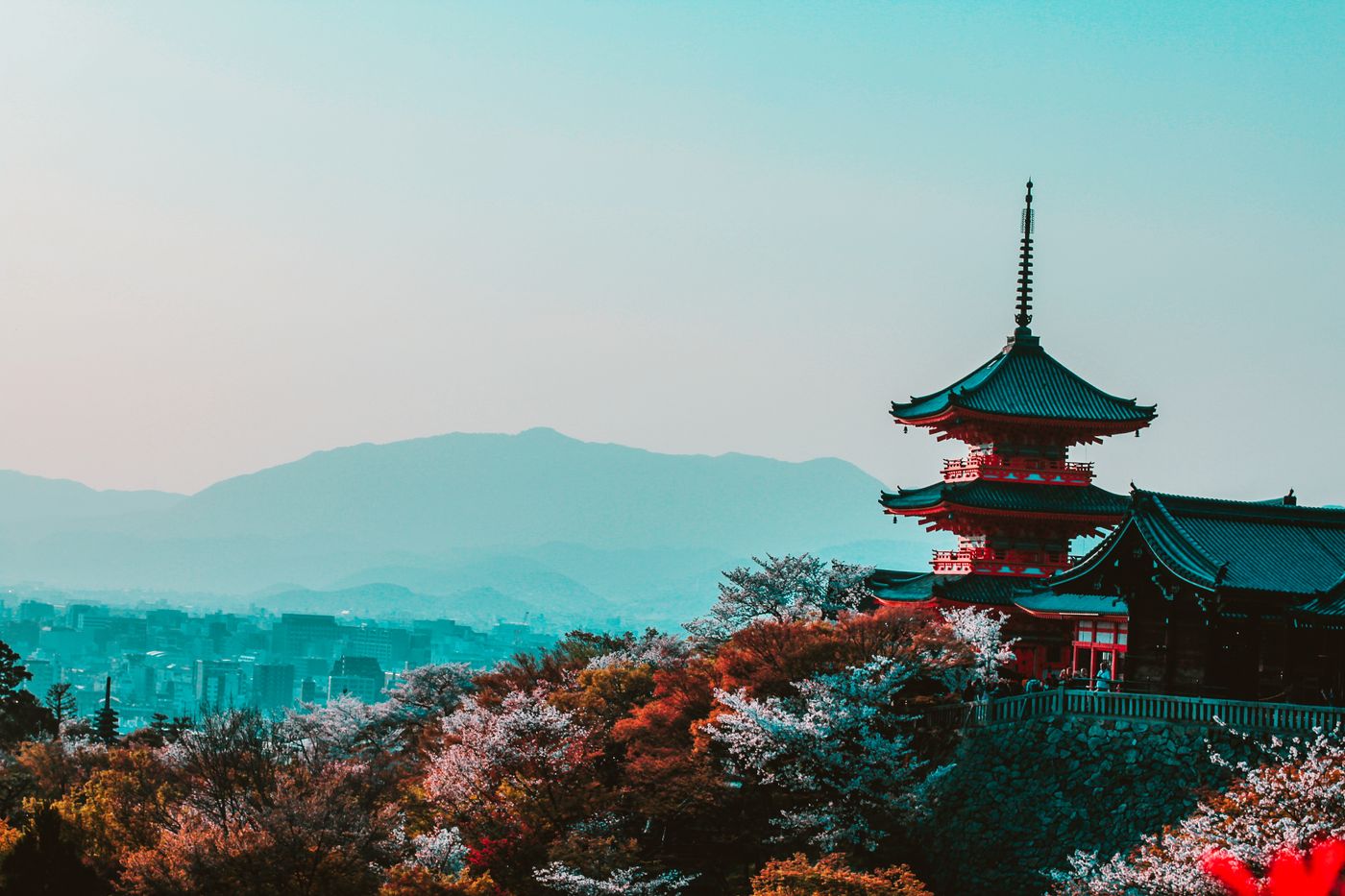Japan Family Expedition